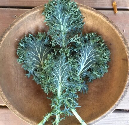 Kalē kāposti 'Frills'